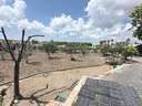 Parcela rústica en venta en San Juan del Puerto