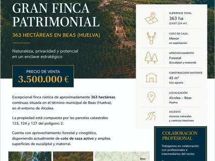 Parcela rústica en venta en Beas