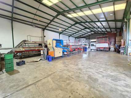 Nave industrial en venta en Palma de Gandía
