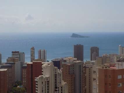 Piso en alquiler en Benidorm