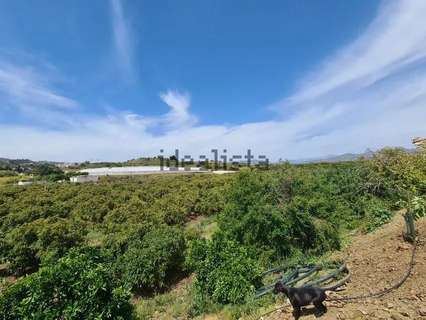 Parcela rústica en venta en Vélez-Málaga rebajada