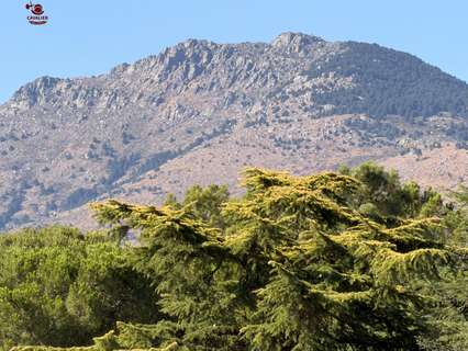 Chalet en alquiler en Los Molinos rebajado