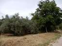 Parcela en venta en Dúrcal