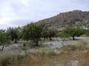 Parcela en venta en Nigüelas