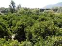 Finca en venta en El Valle