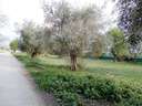 Finca en venta en Dúrcal Marchena