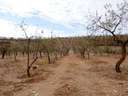 Finca en venta en Nigüelas