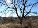 Finca en venta en Dúrcal