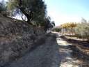 Finca en venta en Dúrcal