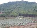 Finca en venta en El Valle