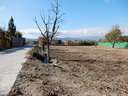 Parcela en venta en Dúrcal