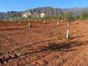 Parcela urbana no consolidada en venta en Dúrcal