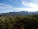 Finca en venta en Lecrín