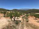Finca en venta en Albuñuelas