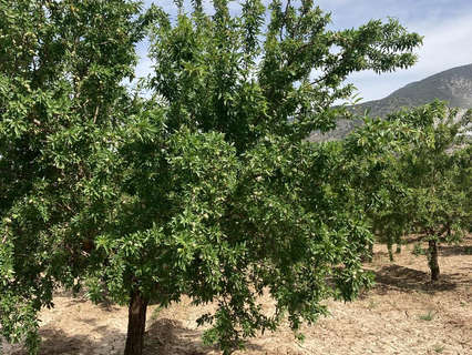 Finca en venta en Dúrcal