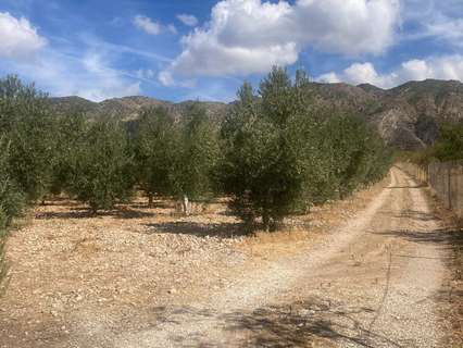 Parcela rústica en venta en Dúrcal