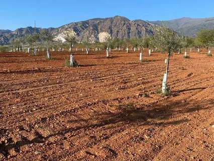 Parcela rústica en venta en Dúrcal