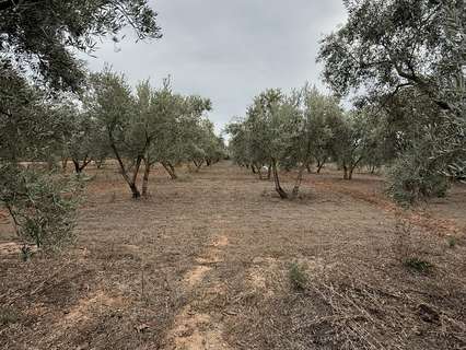 Parcela rústica en venta en Dúrcal