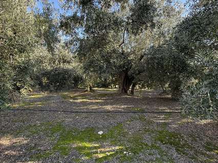 Parcela rústica en venta en Albuñuelas
