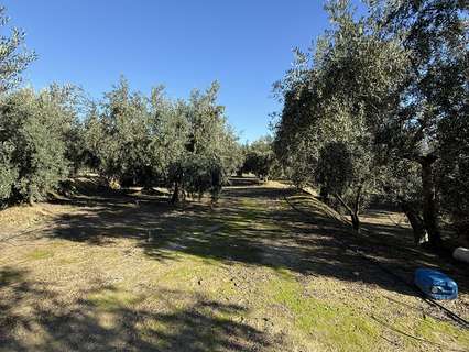 Parcela rústica en venta en Albuñuelas