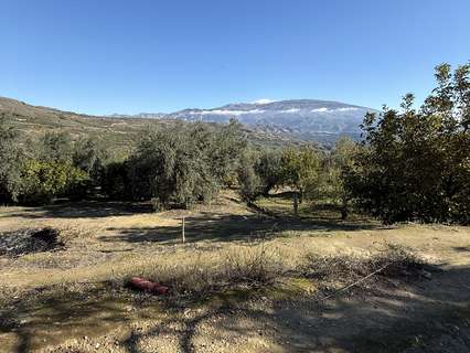 Parcela rústica en venta en Albuñuelas