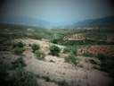 Finca en venta en Albuñuelas