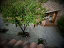 Finca en venta en Albuñuelas