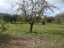 Finca en venta en Villamena