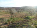 Finca en venta en Dúrcal