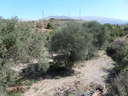 Finca en venta en Villamena Cozvíjar rebajada
