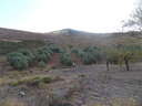 Finca en venta en Albuñuelas