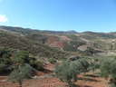 Finca en venta en Albuñuelas