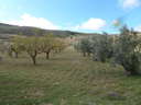 Finca en venta en El Valle