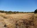 Finca en venta en Dúrcal Marchena