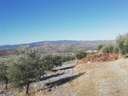 Finca en venta en Nigüelas