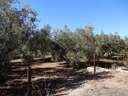 Finca en venta en Dúrcal