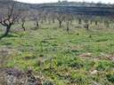 Finca en venta en Dúrcal