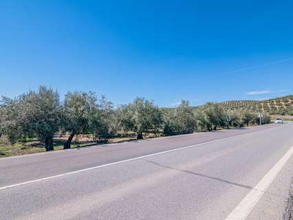 Parcela rústica en venta en Deifontes