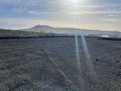 Parcela en venta en Teguise zona Teguise