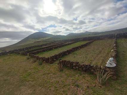 Parcela en venta en Teguise zona Tahiche