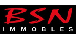 logo Inmobiliaria BSN Immobles