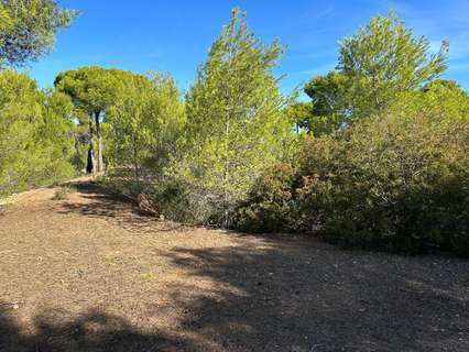 Parcela rústica en venta en Albalat dels Tarongers