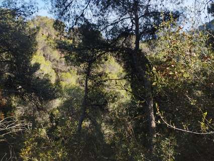 Parcela rústica en venta en Náquera rebajada