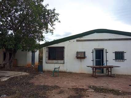 Parcela rústica en venta en Llíria