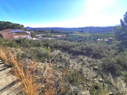 Parcela rústica en venta en Pedralba rebajada