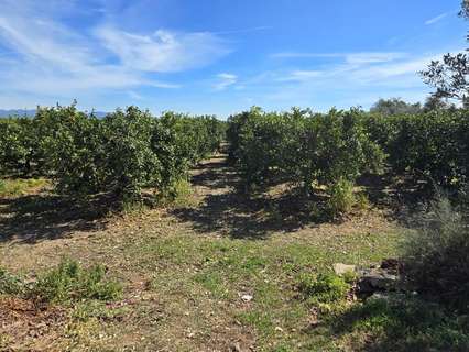 Parcela rústica en venta en Llíria