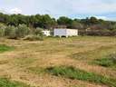 Parcela rústica en venta en Llíria