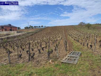 Parcela rústica en venta en Camponaraya rebajada