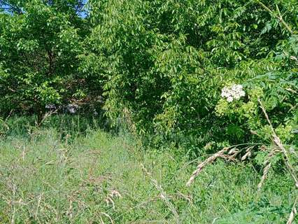 Parcela rústica en venta en Ponferrada