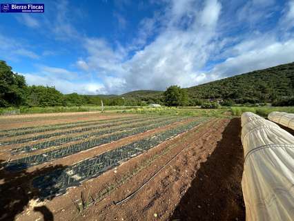 Parcela rústica en venta en Carucedo